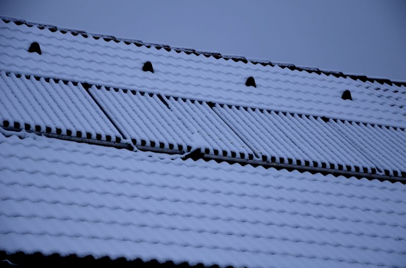 Weather-Resistant Roofing